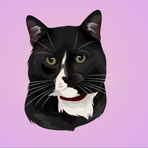 Meet your Posher, SurlyMommaCat